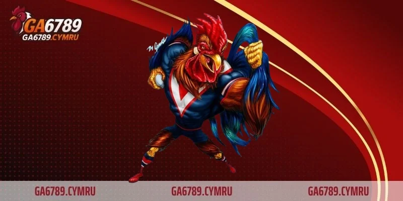 Cách chăm sóc gà bị cựa – Bí quyết hồi phục nhanh và hiệu quả