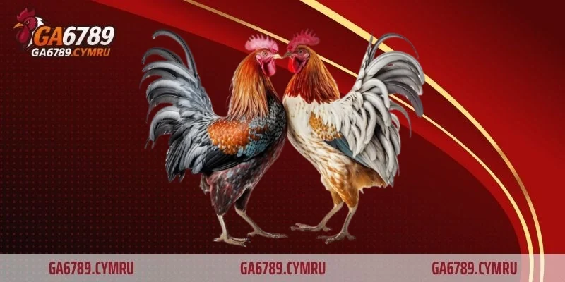 Giải đáp một số thắc mắc