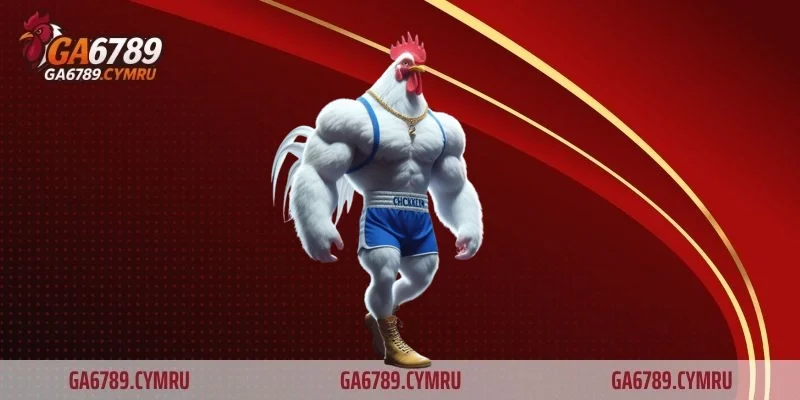 Tổng quan về cách tính cược đá gà