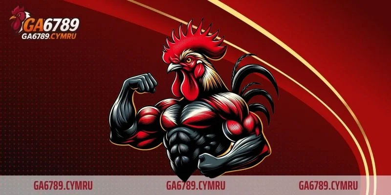 Mẹo chơi đá gà toàn thắng giúp anh em nâng cao tỷ lệ thành công