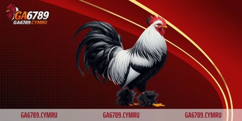 Thuốc tăng cơ và phát triển thể lực