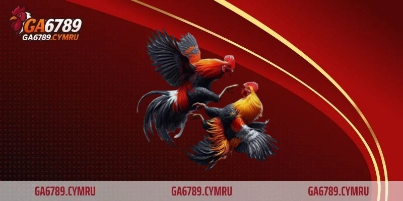 Đá gà S128 – Sân chơi trực tuyến đẳng cấp hàng đầu cho dân cá cược