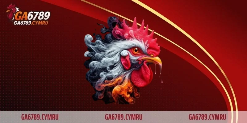 Sức hút từ phong cách thi đấu