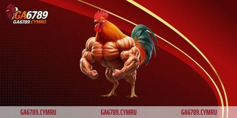 Gà chọi vảy rồng bí ẩn và sức mạnh khó lường của chiến kê huyền thoại