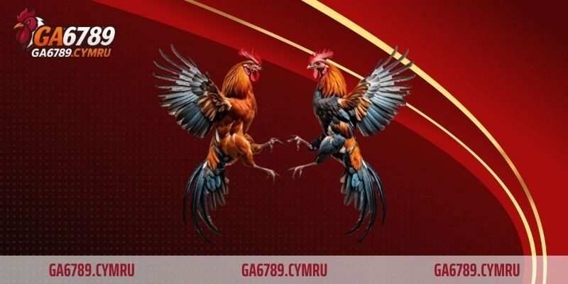 Lý do GA6789 trở thành điểm đến hàng đầu của người chơi